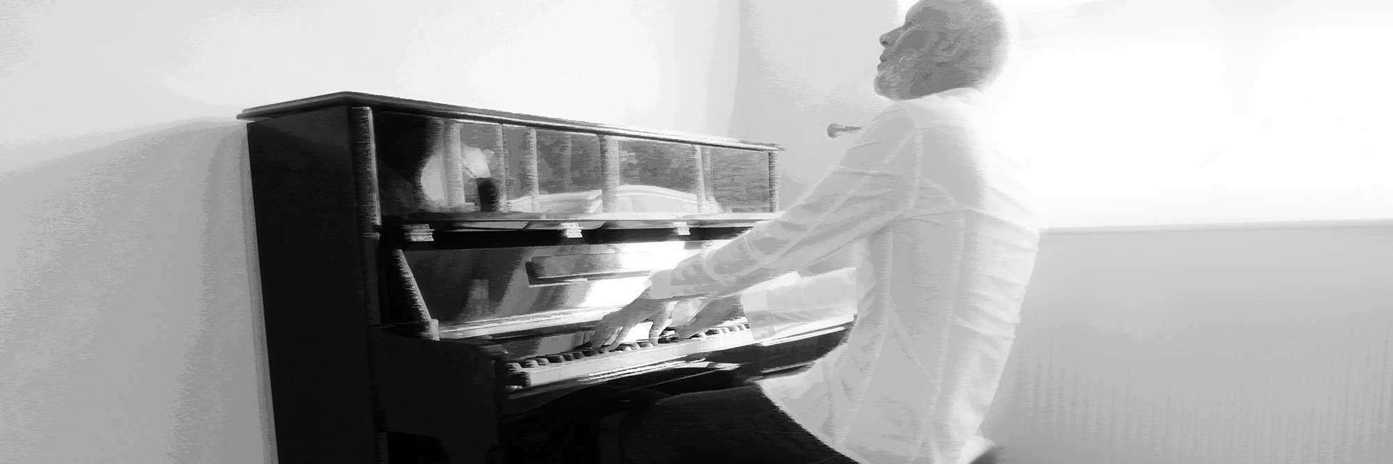 Stephen Ellis banner