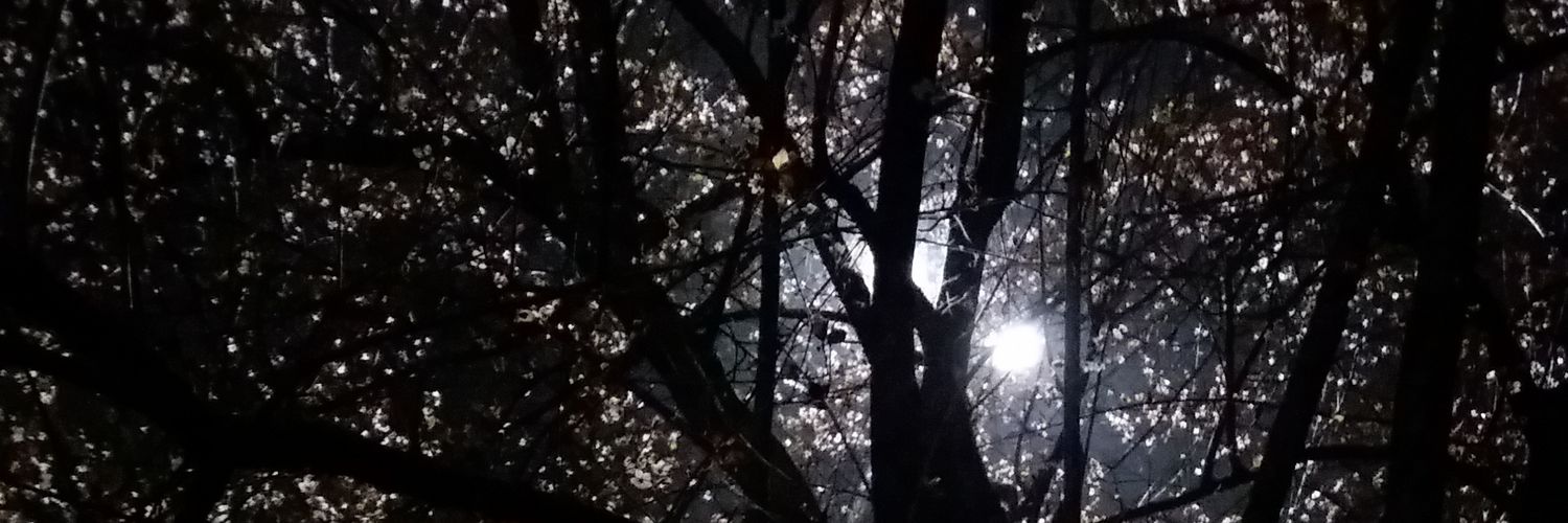 PipeJano's profile banner image