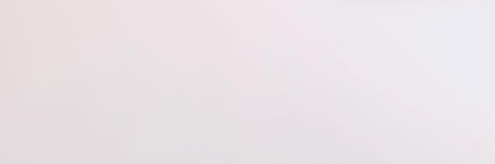 FORELSKET ; 포렐시에 banner