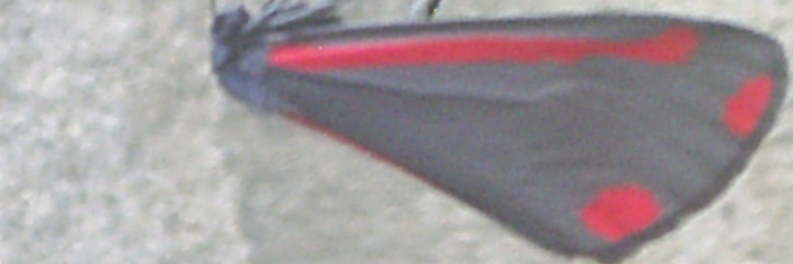 SeamusCool's profile banner image