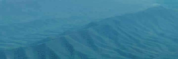wellthatsgross's profile banner image