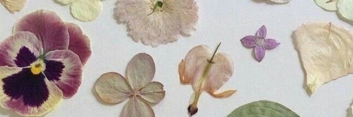 ❤︎ banner