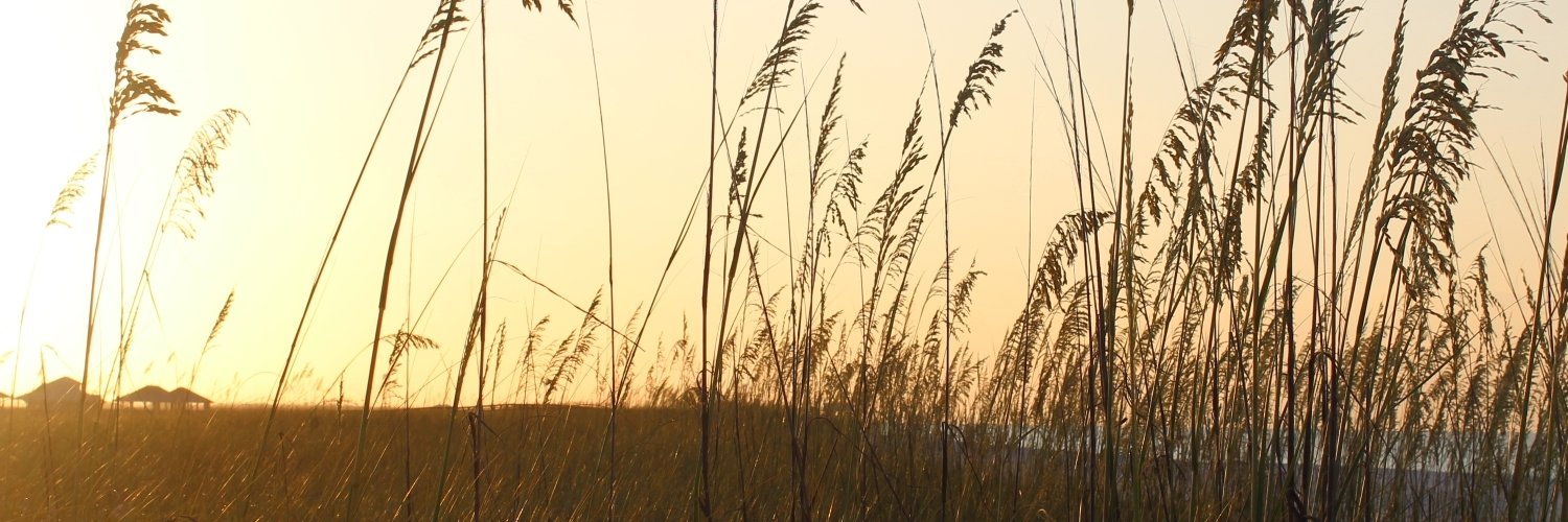 RulesWriting's profile banner image
