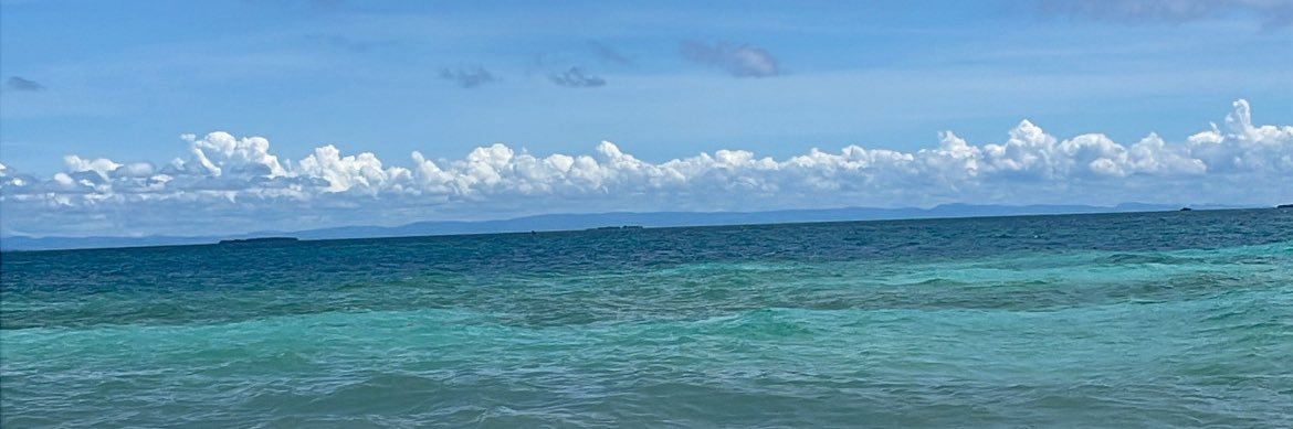 pilarmx2's profile banner image