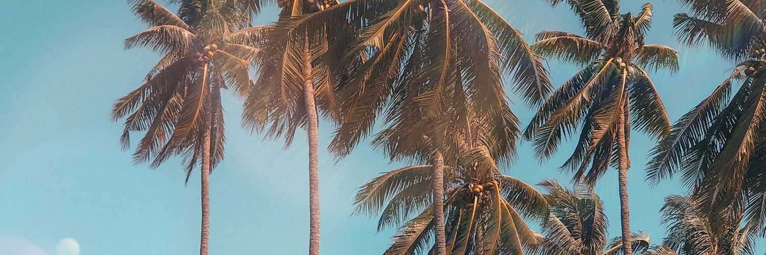 according2katy's profile banner image