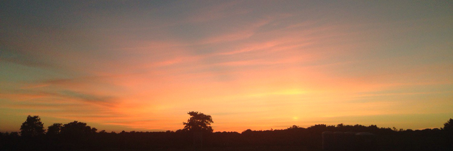 ashleighmorelli's profile banner image