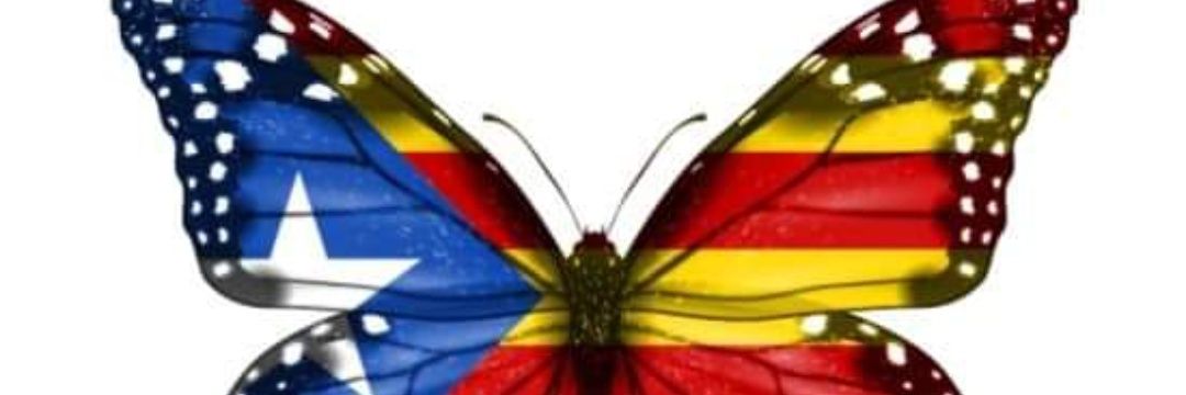 acaber banner