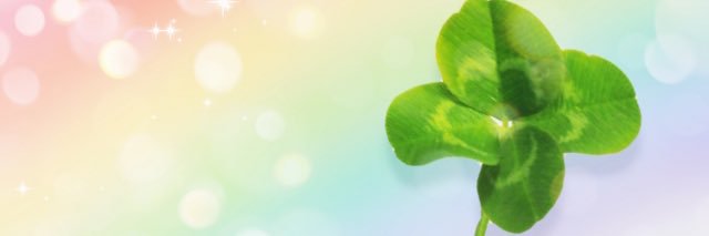 eimi1225's profile banner image