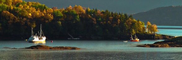 robertobre61's profile banner image