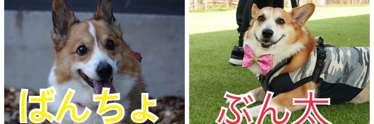 banchomama's profile banner image