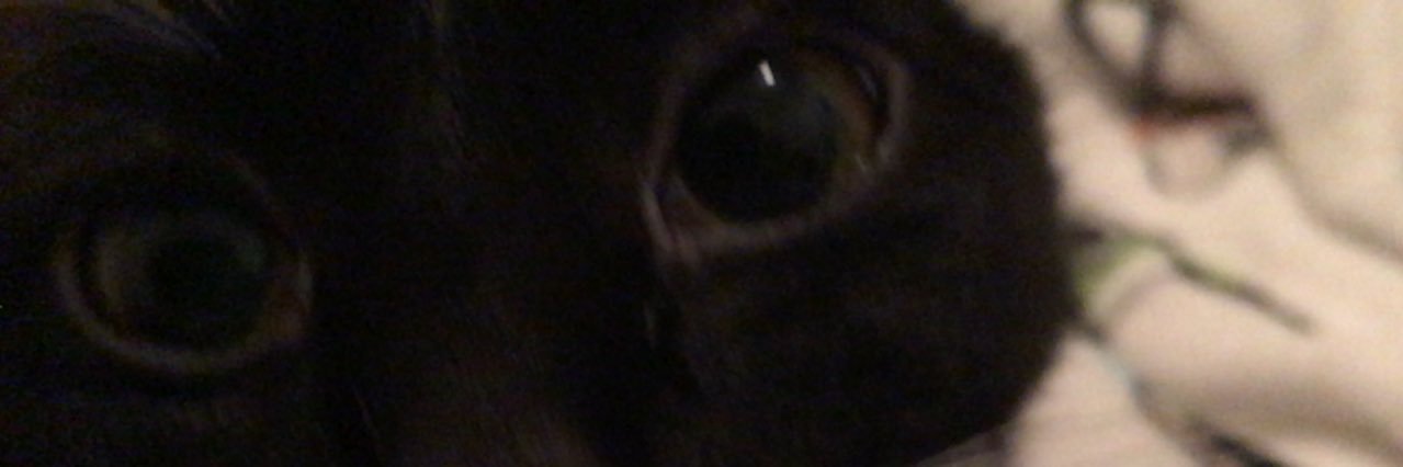 IBad0014's profile banner image