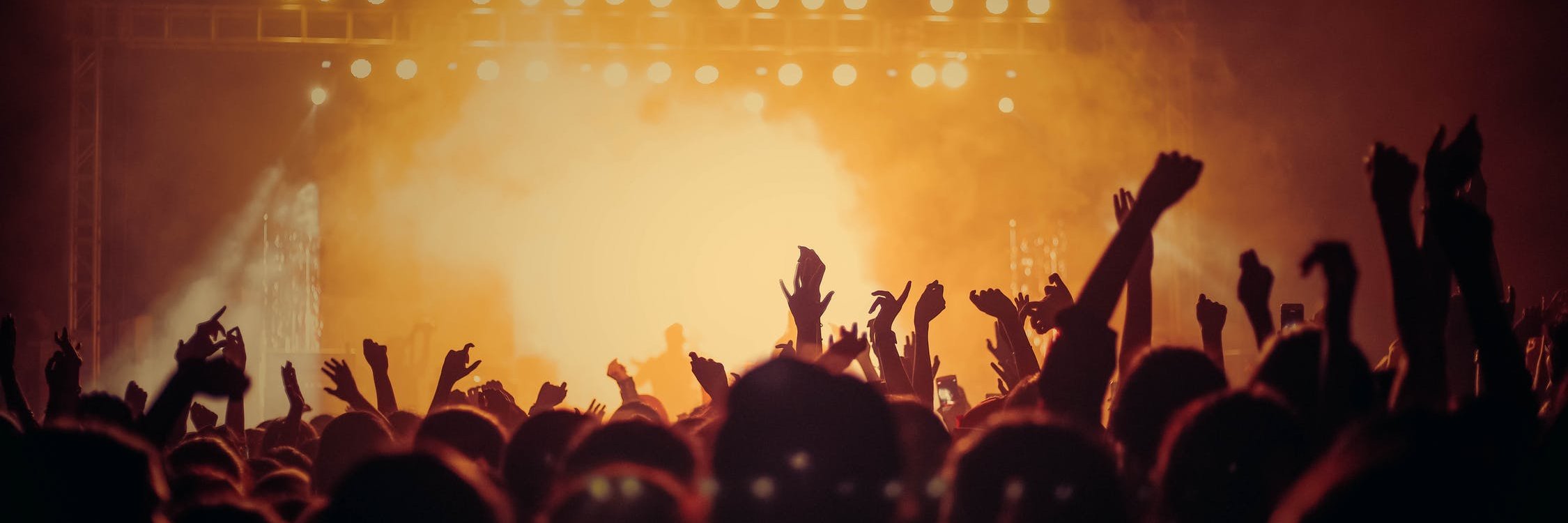 Lion Up Network banner