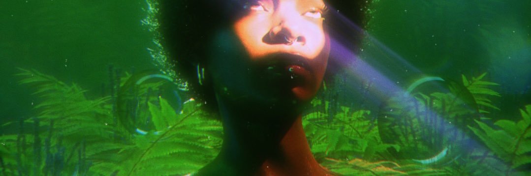 Tweeter banner