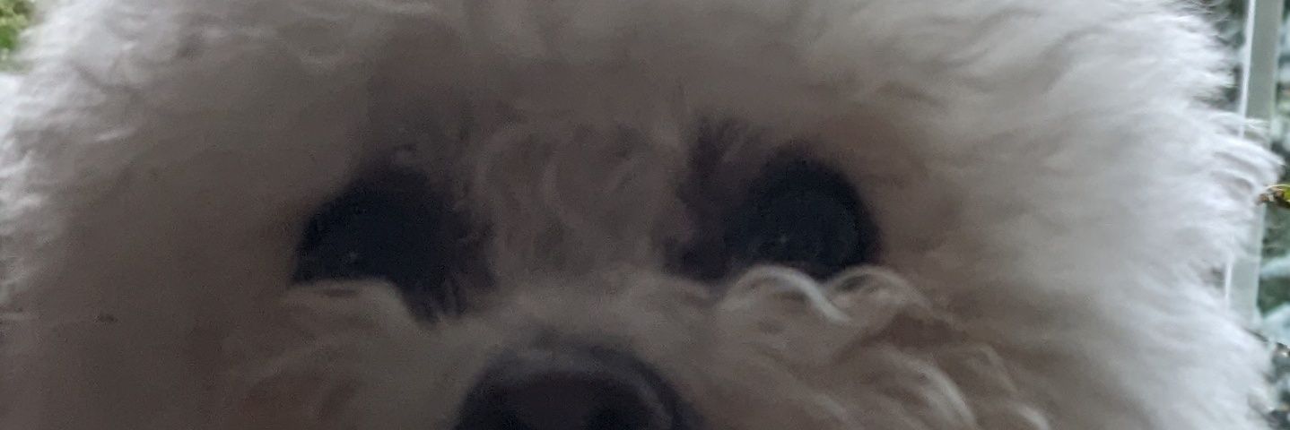 My_APinion's profile banner image
