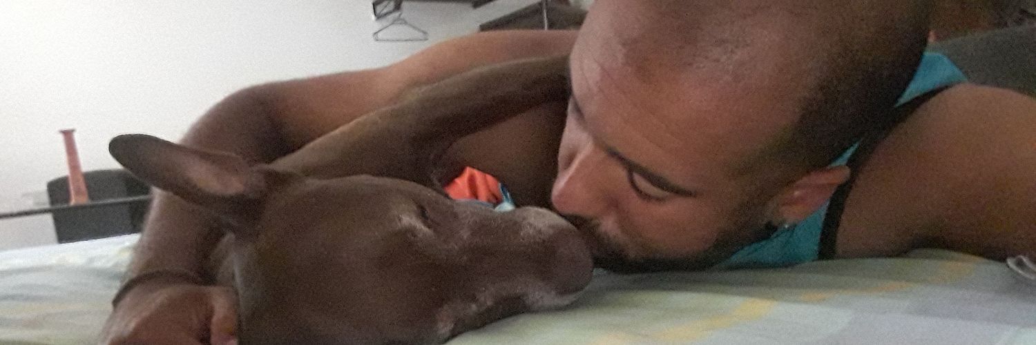 CarlosECarvalho's profile banner image