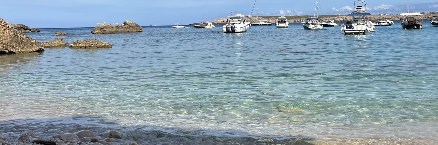 Berta Soler Mercader banner