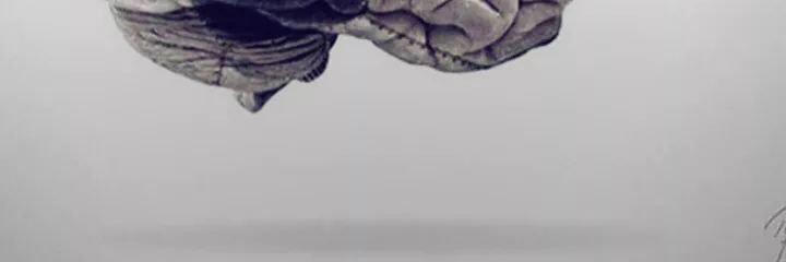 Ibbi banner