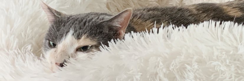 peprstrange's profile banner image
