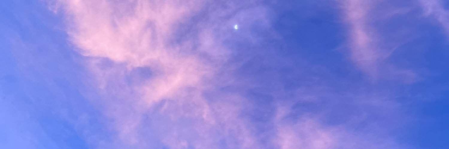 APW banner