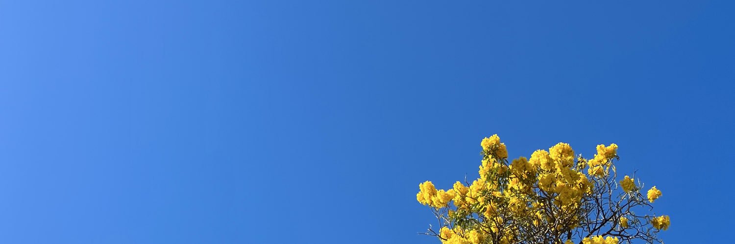 williamibarrac's profile banner image