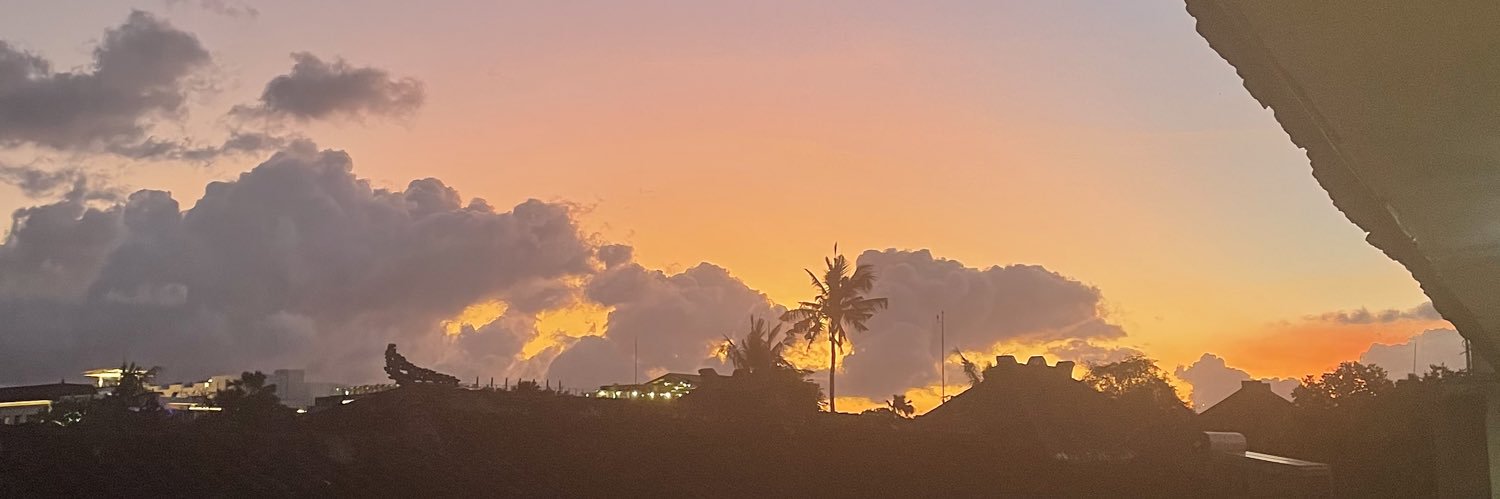 CarooMiller's profile banner image