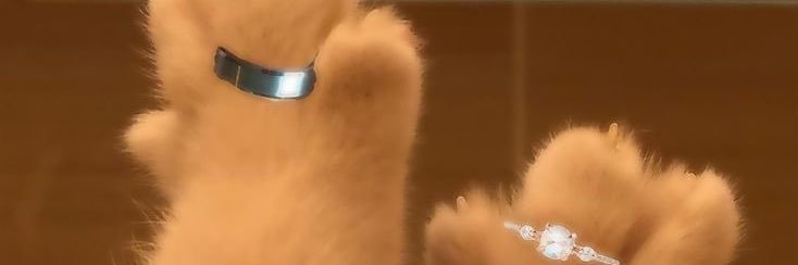 britcontrerass's profile banner image