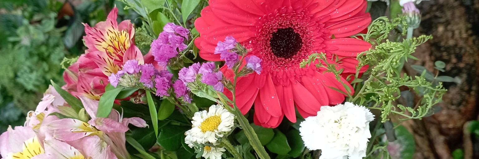 gi_dte's profile banner image