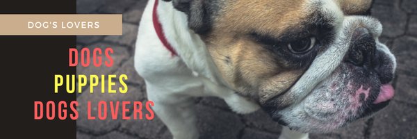 DogsLoversBlog Profile Banner