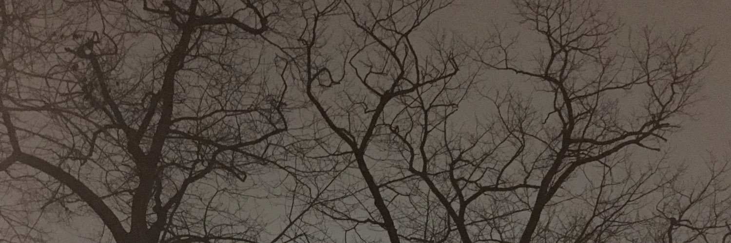 jkroyality's profile banner image