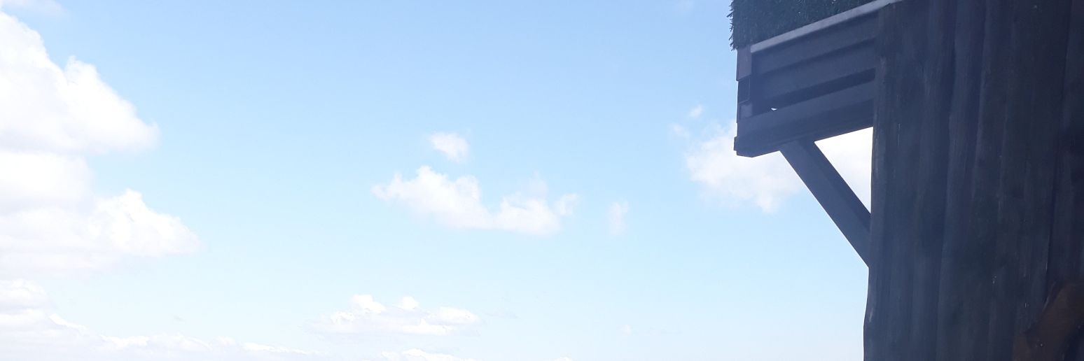 Onur banner