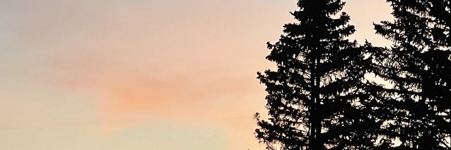 RoseTremblay15's profile banner image