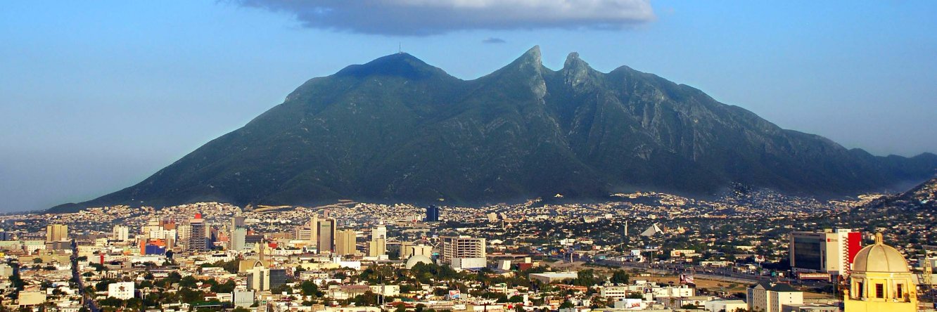 Consejo Ciudadano NL banner