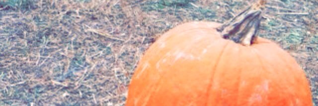 LifeWithMadi's profile banner image