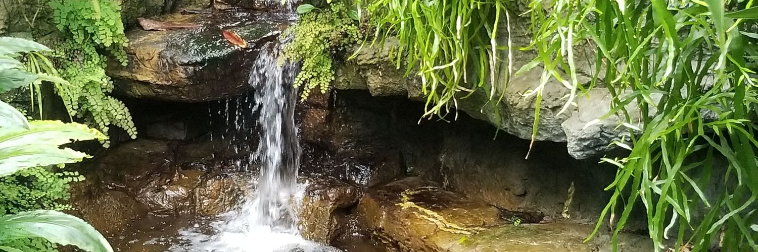 RLariccia1978's profile banner image