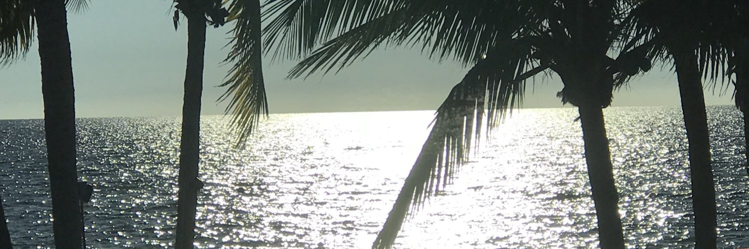 Alex Hommel banner