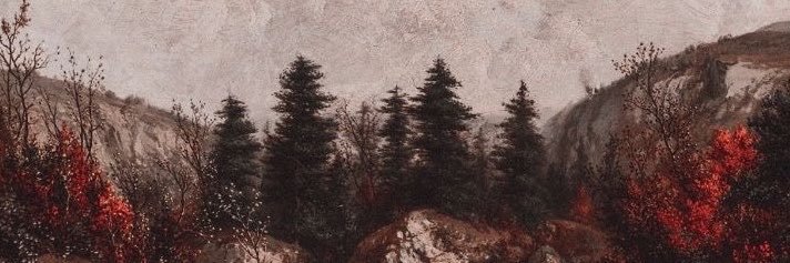 sscarfed's profile banner image