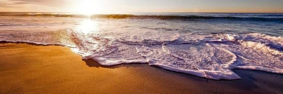 SandraReinert77's profile banner image