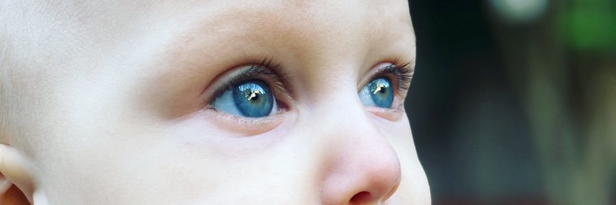 AshlynMauch's profile banner image