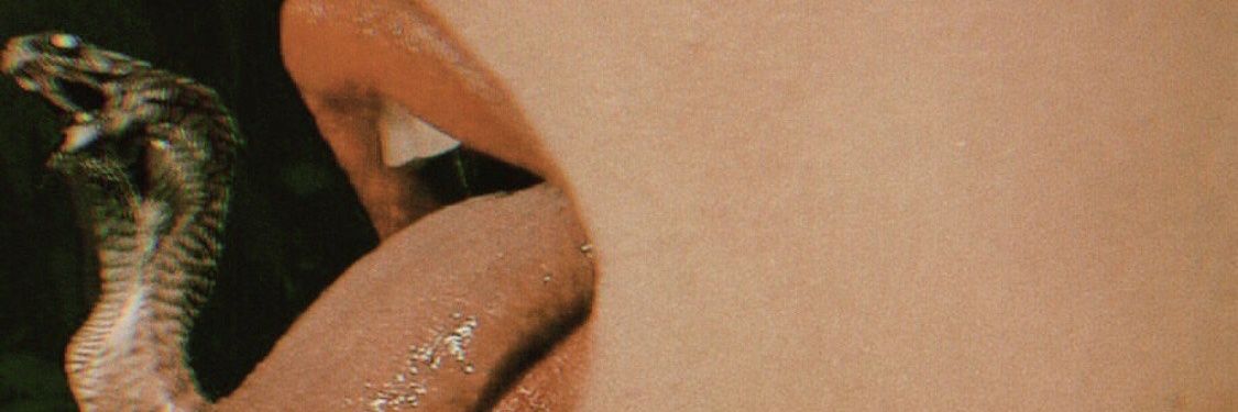 ecerdgan's profile banner image