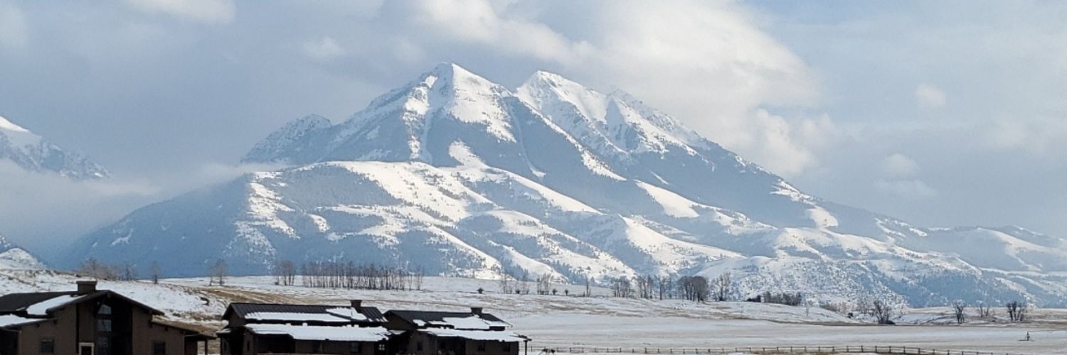 Kate Eggington banner