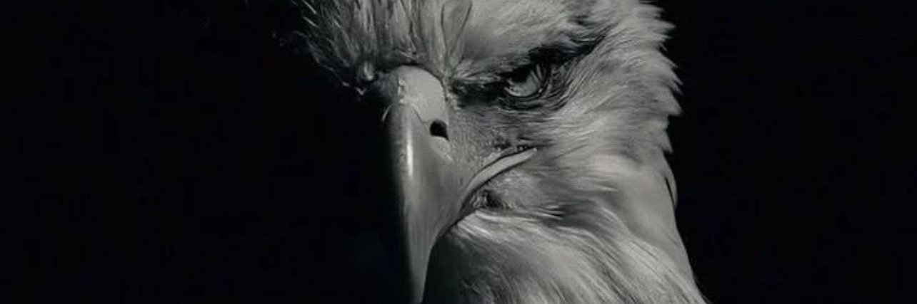 omgitsm45's profile banner image