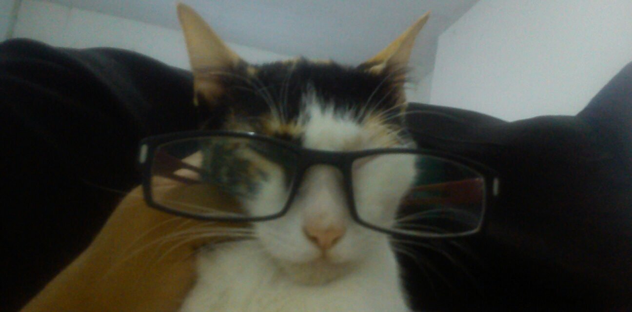 CONTADORCLAUDIO's profile banner image
