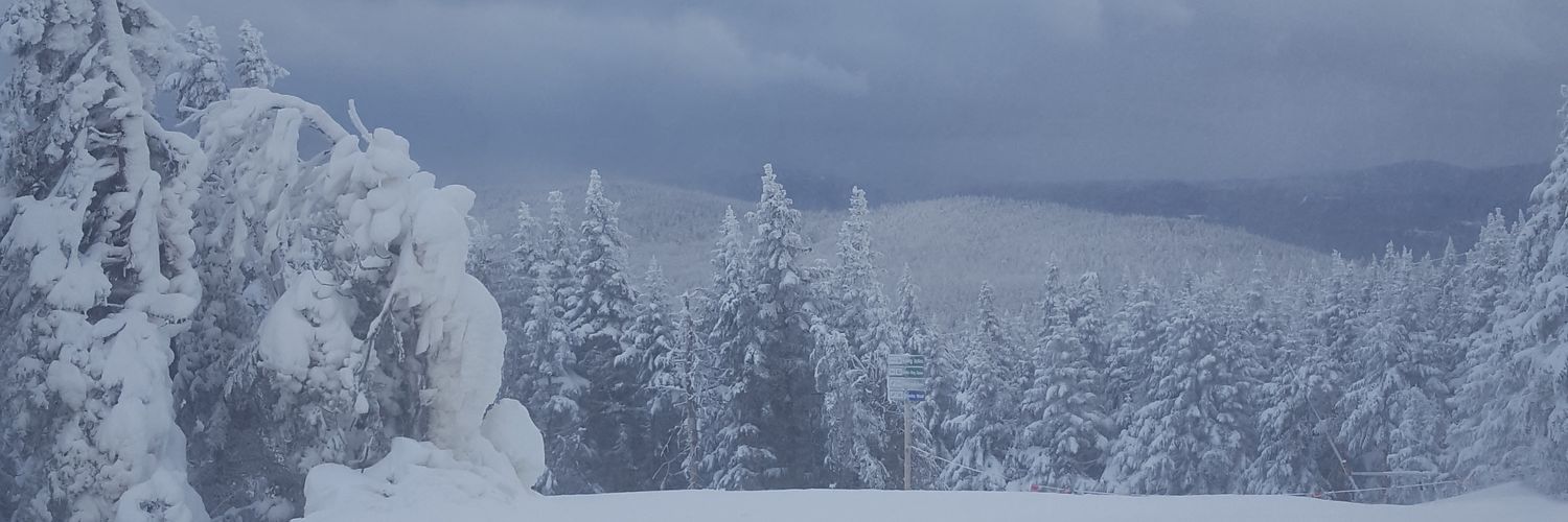 noah_v01's profile banner image