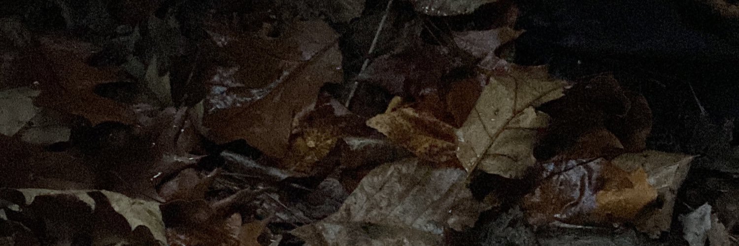 BrettBaker50's profile banner image