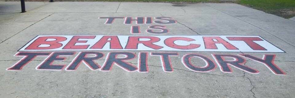 Amanda Stringer banner