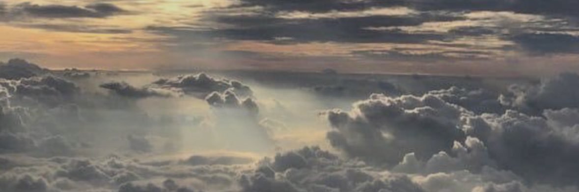 sofiasaldana's profile banner image