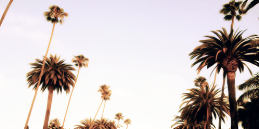 Celia_prl's profile banner image