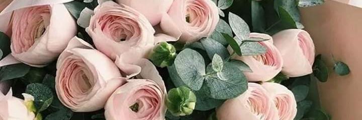 C_singh1992's profile banner image