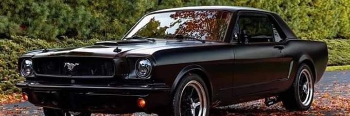 Dadamonster.eth banner