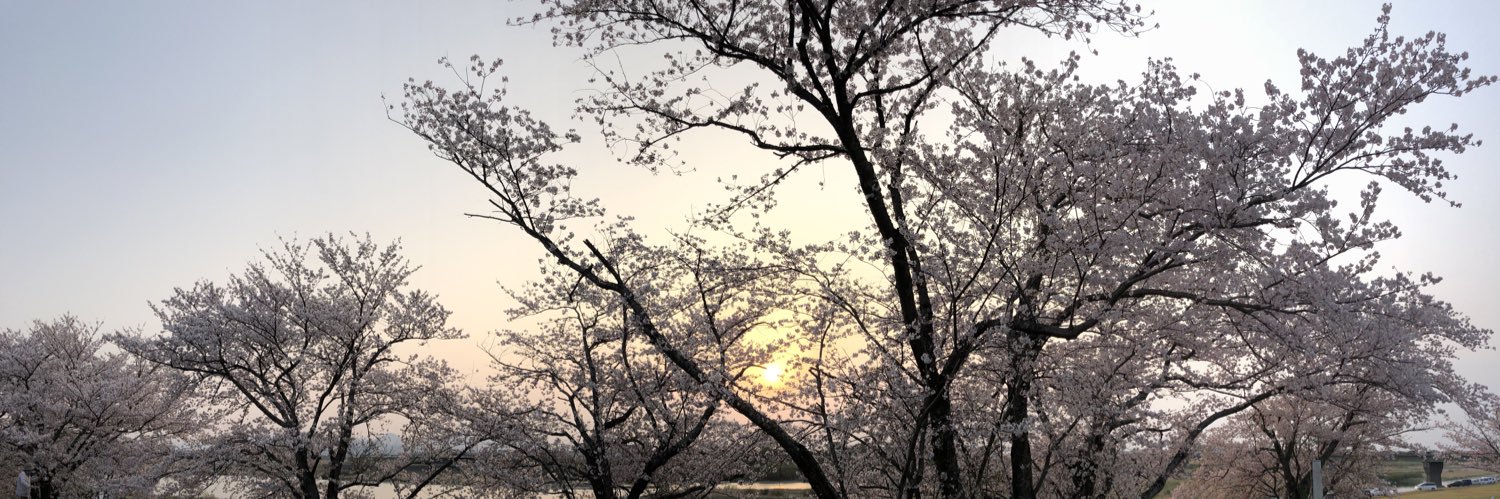 nacha_sugi's profile banner image